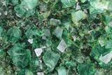 Green, Fluorescent Fluorite Cluster - Rogerley Mine #99454-3
